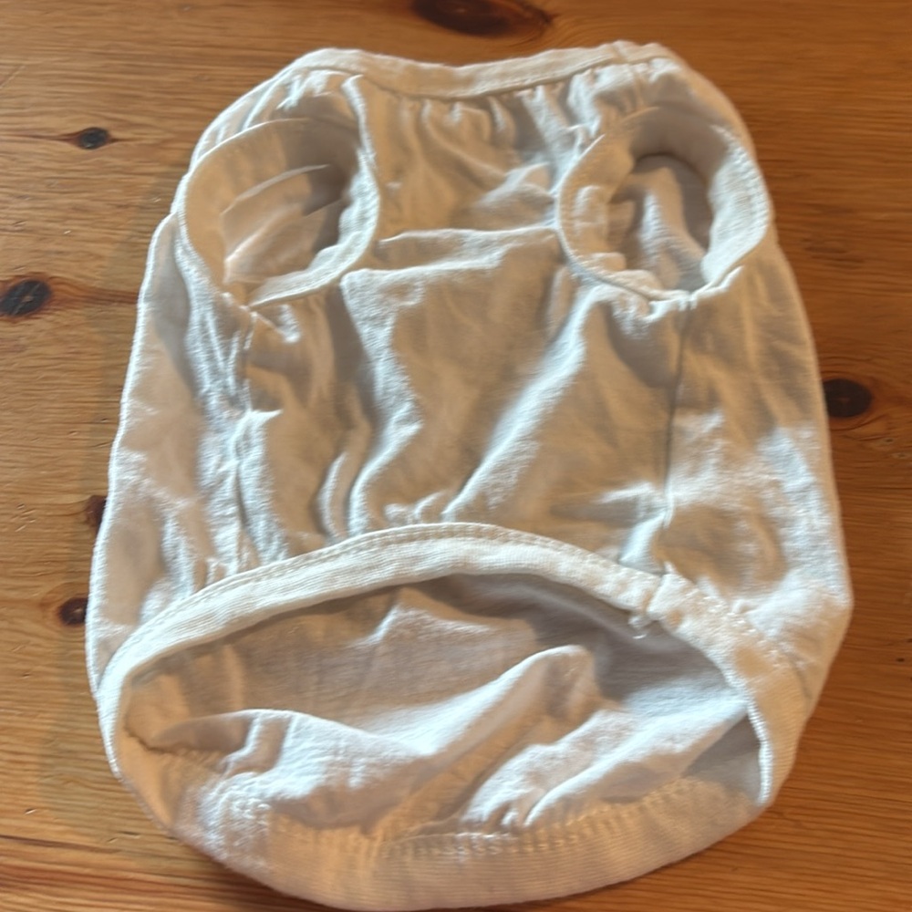 Chol & Vivi Thin Dog T- Shirt Vest